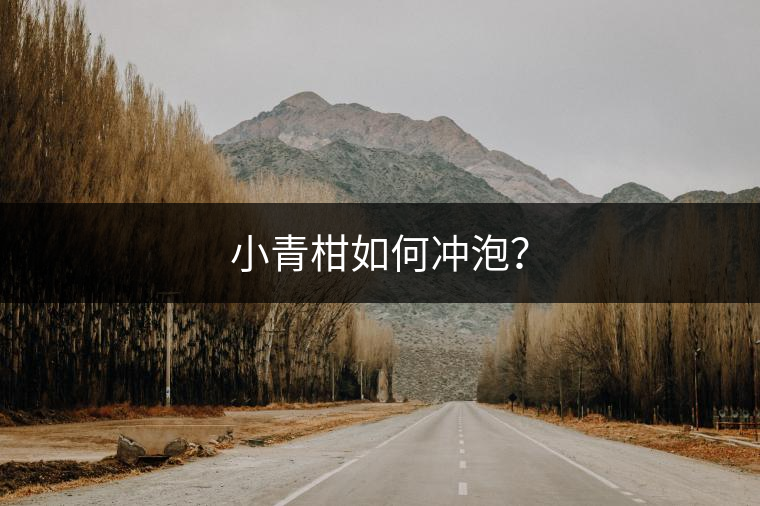 小青柑如何沖泡？