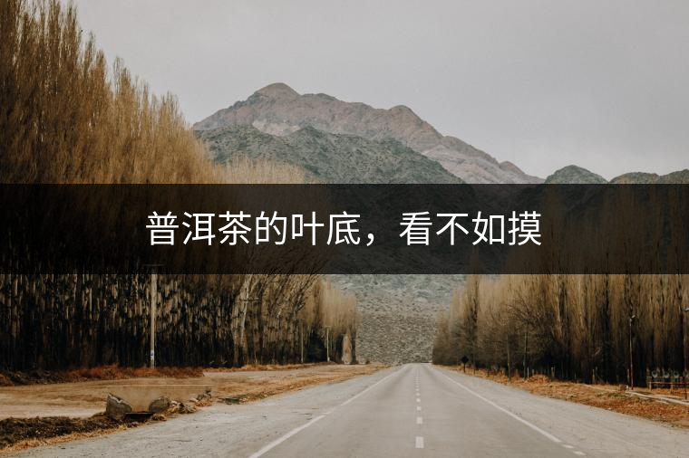 普洱茶的葉底，看不如摸