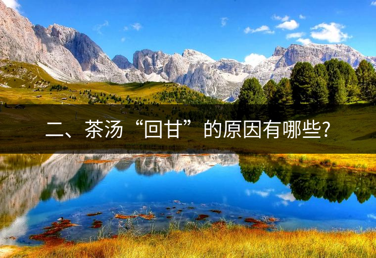 二、茶湯“回甘”的原因有哪些?