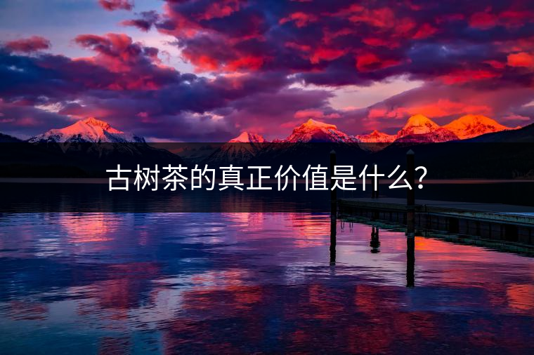 古樹(shù)茶的真正價(jià)值是什么？