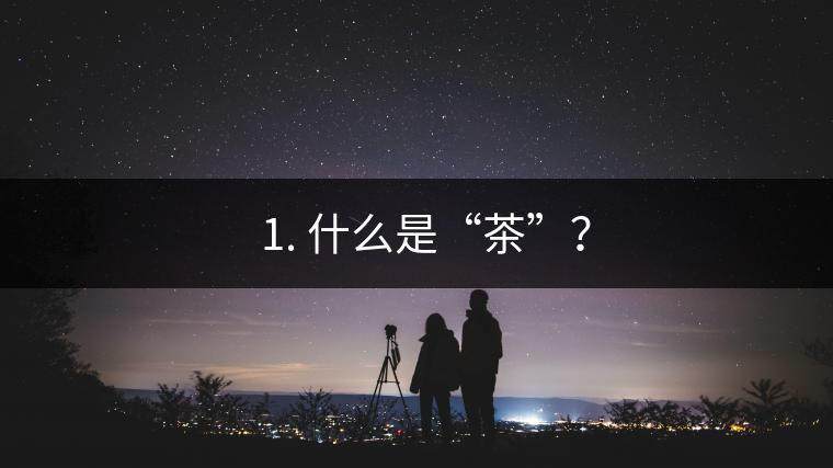 ? 1. 什么是“茶”？