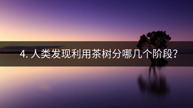 ? 4. 人類(lèi)發(fā)現(xiàn)利用茶樹(shù)分哪幾個(gè)階段？