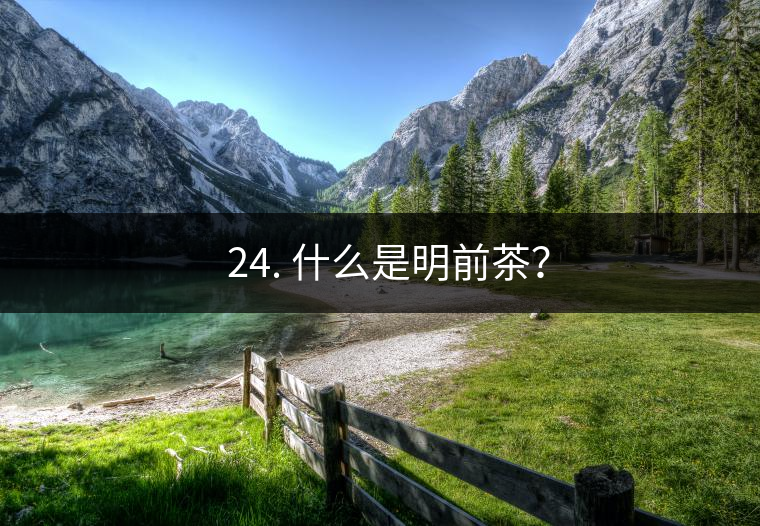 ? 24. 什么是明前茶？