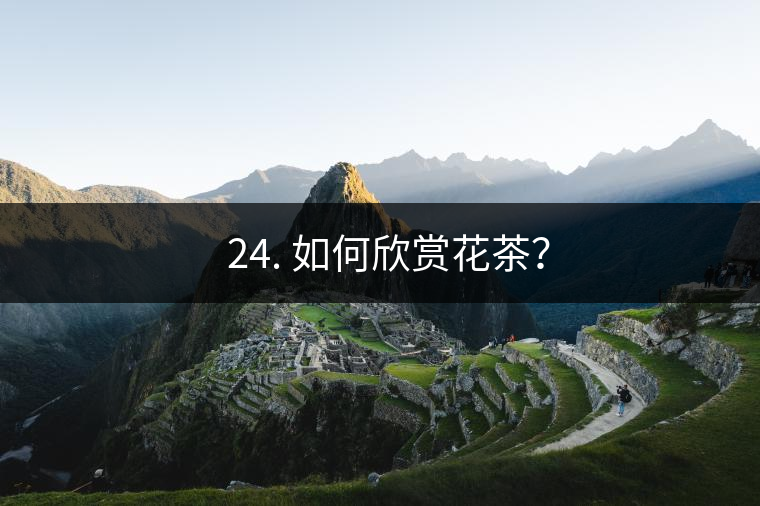 ? 24. 如何欣賞花茶？