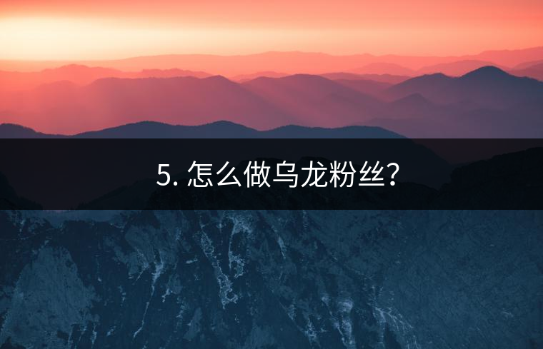 ? 5. 怎么做烏龍粉絲？