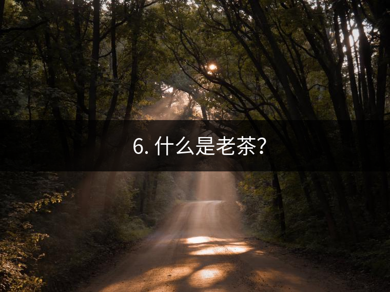 ? 6. 什么是老茶？