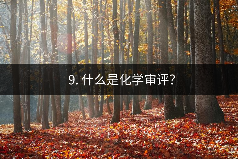 ? 9. 什么是化學(xué)審評(píng)？