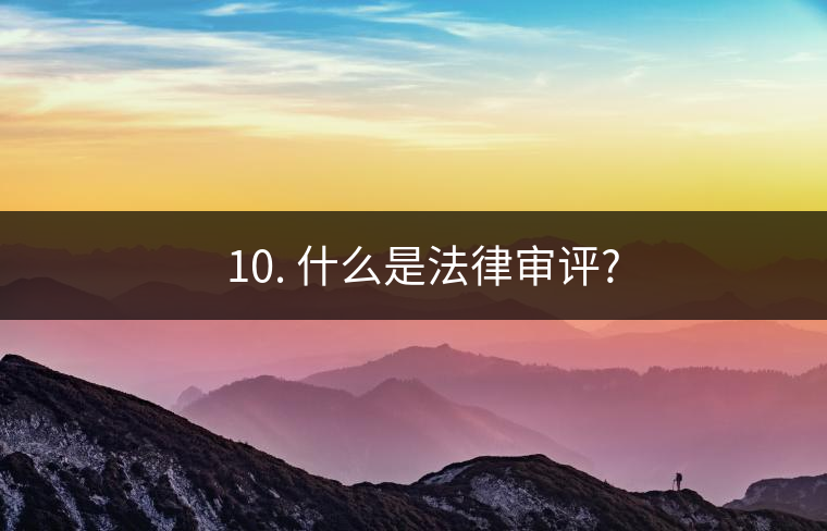 ? 10. 什么是法律審評(píng)?