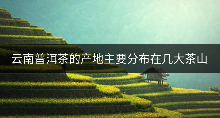 云南普洱茶的產(chǎn)地主要分布在幾大茶山，普洱茶古茶山以瀾滄江為界劃分為