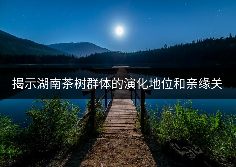 揭示湖南茶樹群體的演化地位和親緣關(guān)系