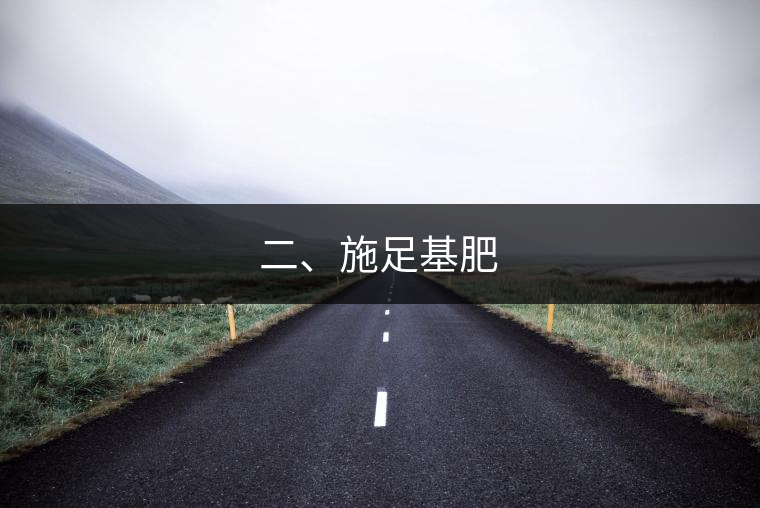 二、施足基肥