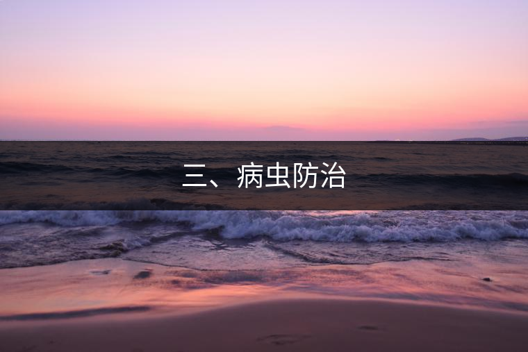 三、病蟲(chóng)防治