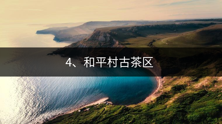 4、和平村古茶區(qū) ?