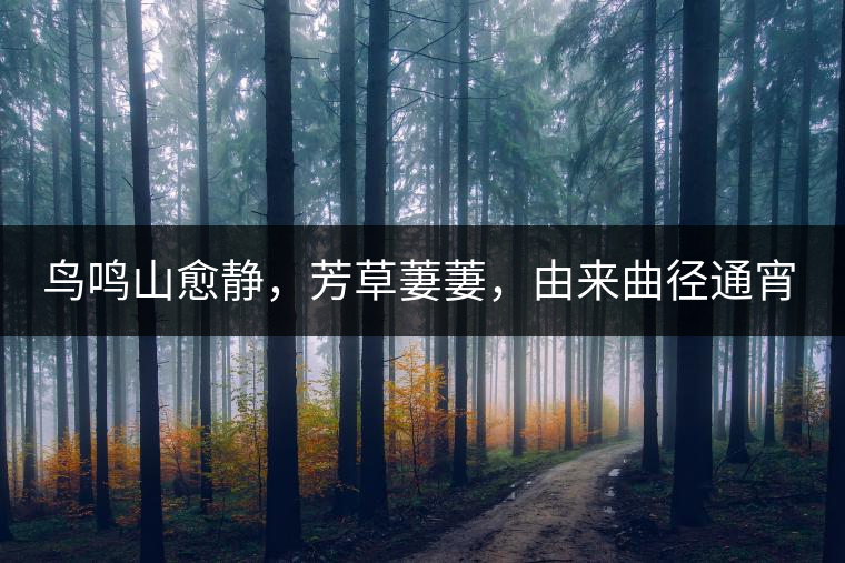 鳥(niǎo)鳴山愈靜，芳草萋萋，由來(lái)曲徑通宵漢。