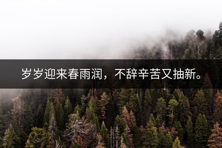 歲歲迎來春雨潤，不辭辛苦又抽新。