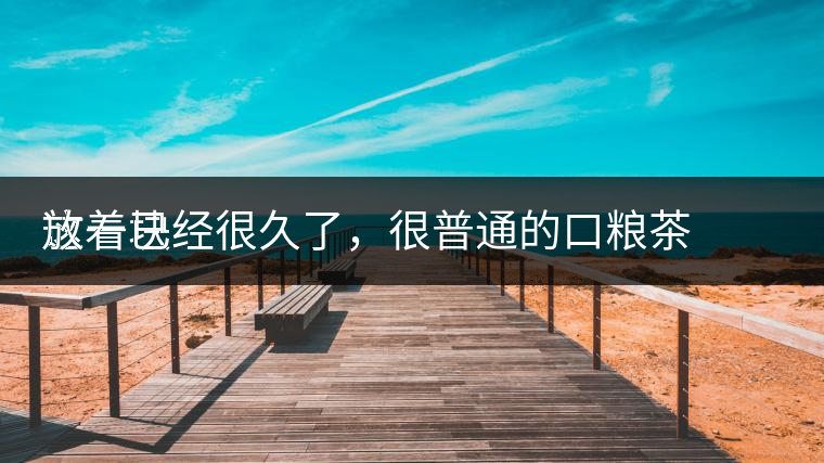 這一塊
放著已經很久了，很普通的口糧茶，煙味很重，但回甘也可以，隨意喝喝吧。