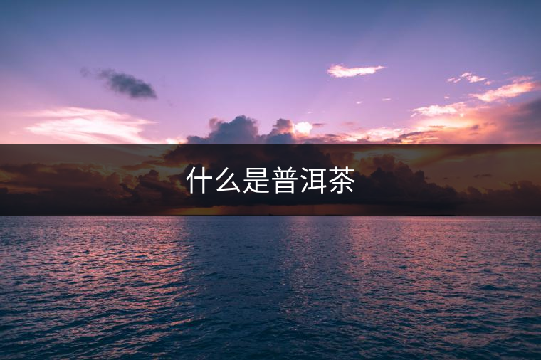 什么是普洱茶 什么是普洱茶
