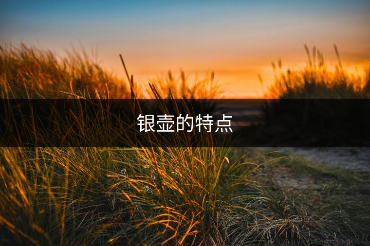 銀壺的特點