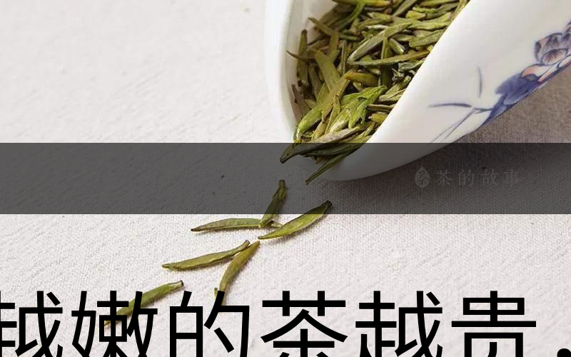 越嫩的茶越貴，但越貴的茶就越好嗎？-1