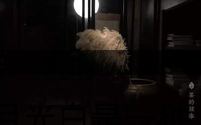 月光白是一種什么茶？