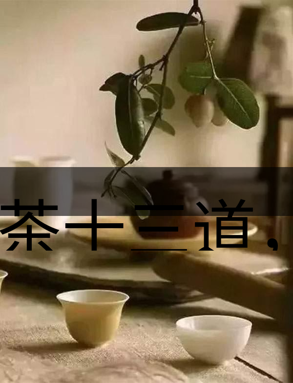 喝茶十三道，道道皆精華！-2