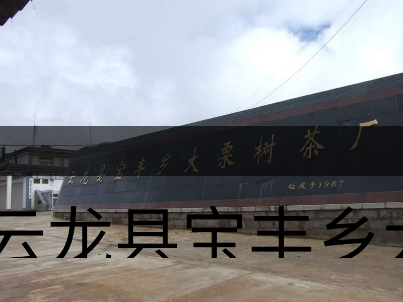 云龍縣寶豐鄉(xiāng)大栗樹茶廠簡述-1 云龍縣寶豐鄉(xiāng)大栗樹茶廠簡述-1