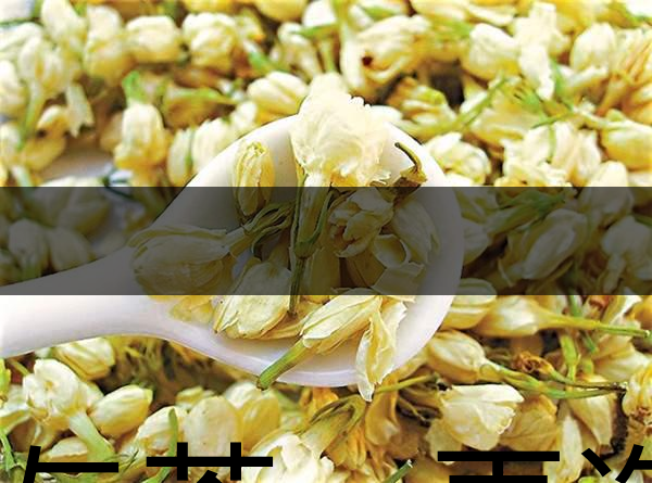 花與茶，再造茉莉之都——福州-1