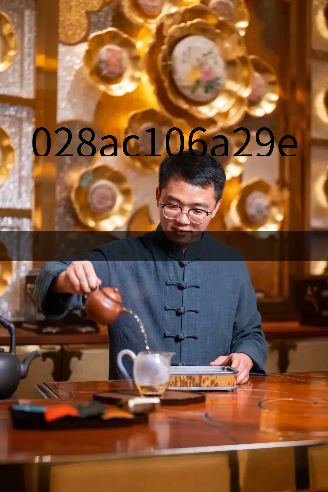 028ac106a29e4258ac69c2ec5aac2639