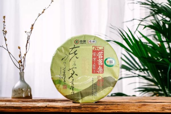 中茶苦涼 | 干倉陳化，湯厚味苦