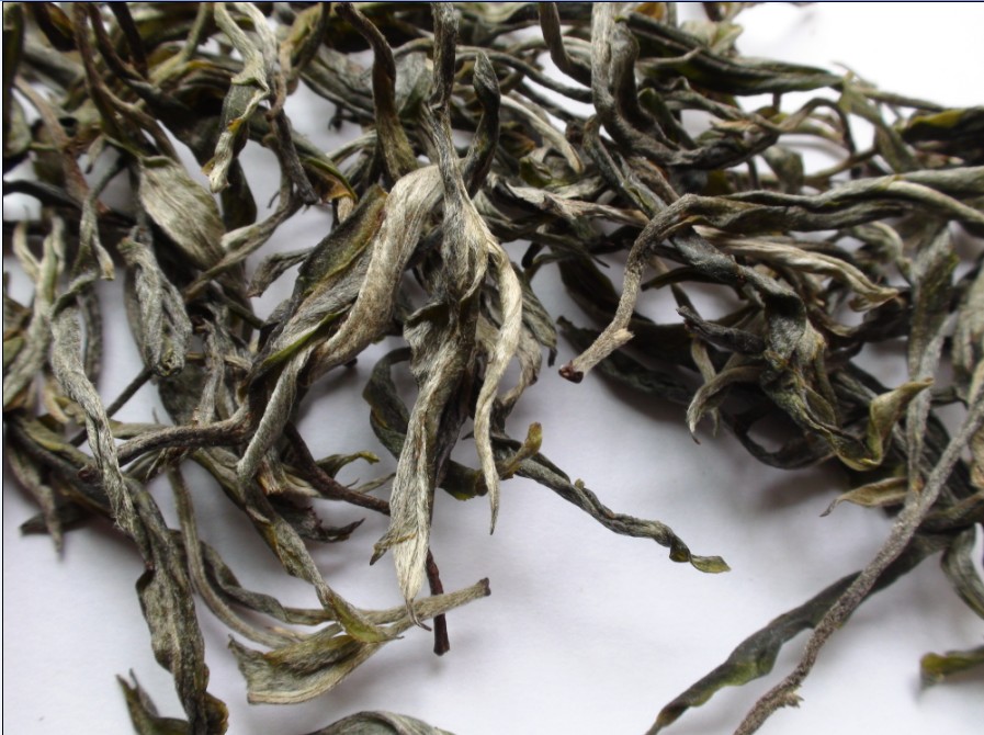 2021年馬鞍山古樹秋茶價格？