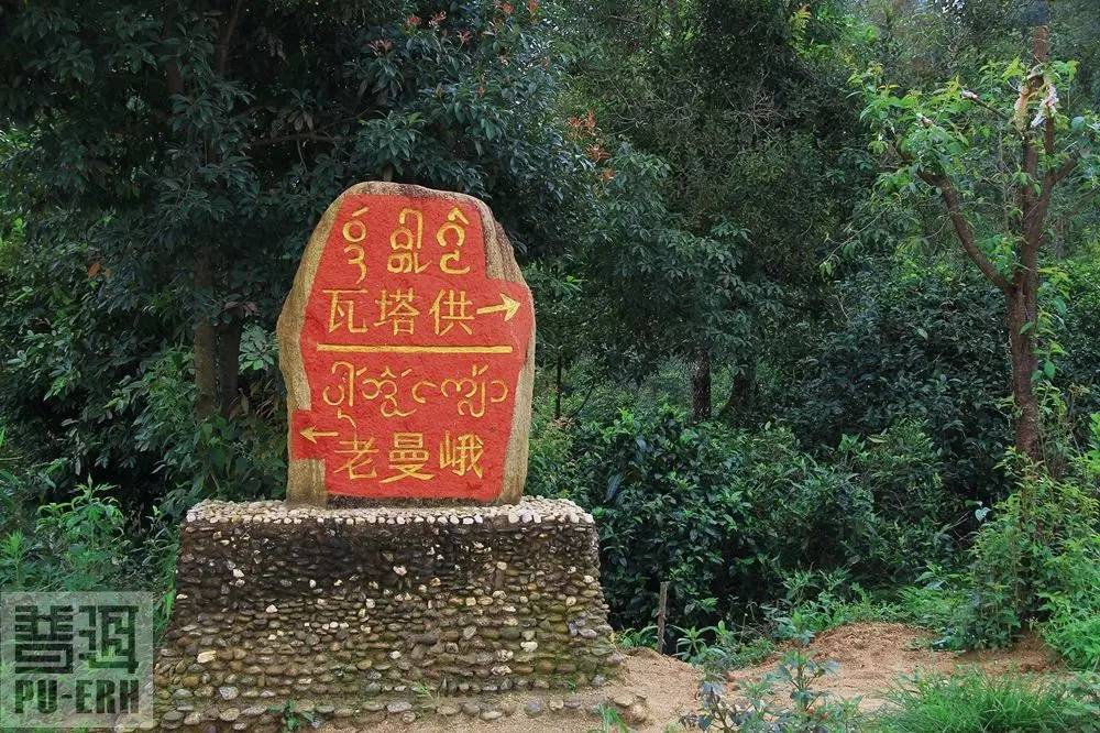 2021年老曼峨古樹秋茶價(jià)格多少？