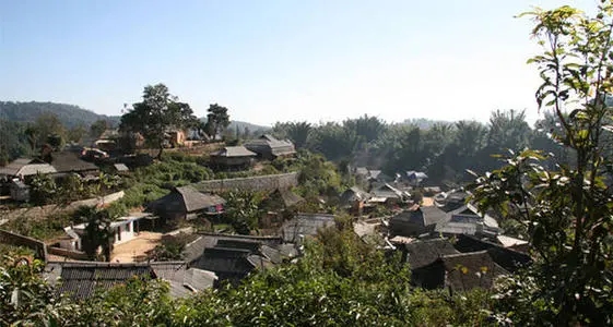 2021年班章茶區(qū)壩卡竜古樹秋茶多少錢一公斤？