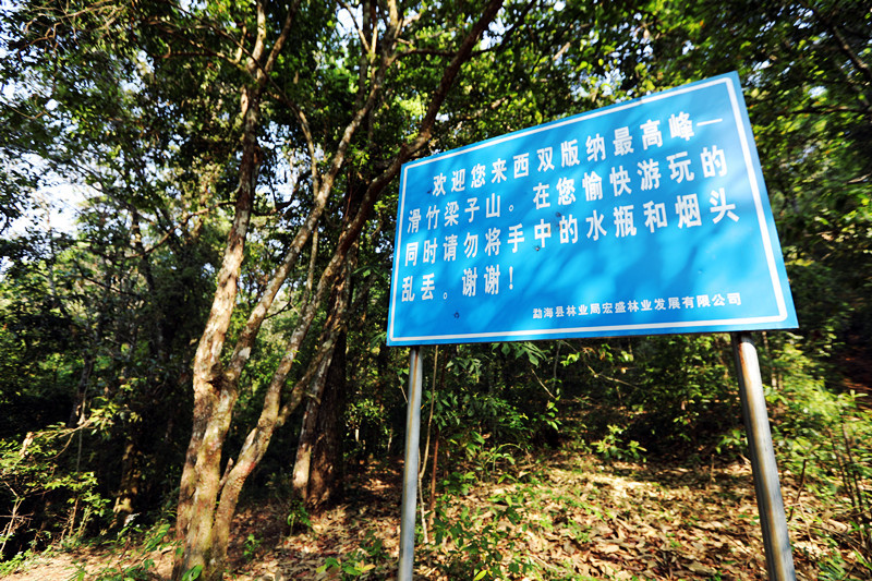 2021年滑竹梁子古樹秋茶價(jià)格？