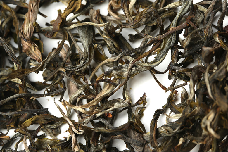 2021年巴達山章朗古樹秋茶特點？