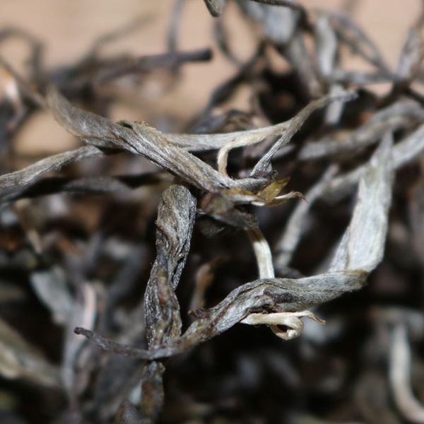 2021年帕沙古樹秋茶，你了解多少？