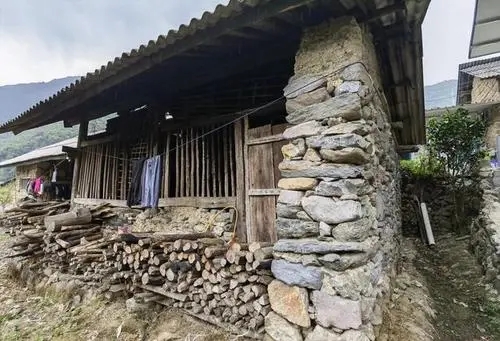 2022年景谷黃草壩古樹春茶特點(diǎn)是什么？