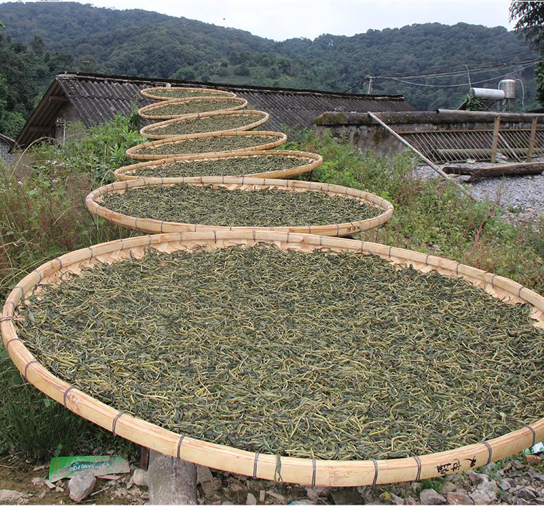 2022年白沙河古樹春茶價格？