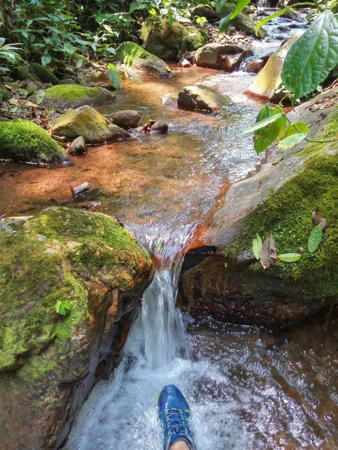 2022年銅箐河古樹(shù)春茶多少錢一公斤？