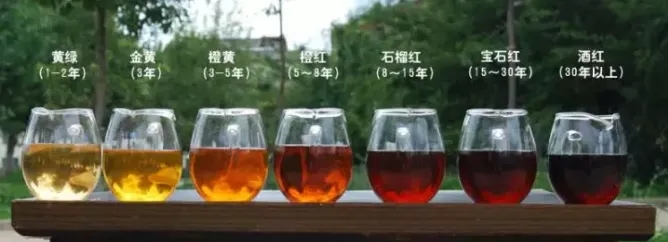 2022年普洱茶的茶湯湯色要怎么描述？