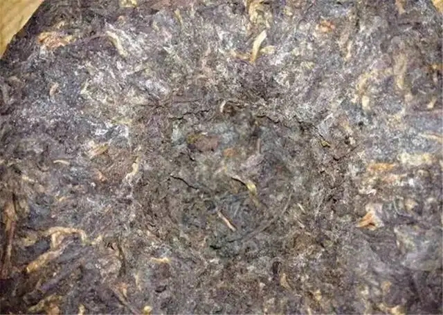 2022年普洱茶受潮發(fā)霉了怎么辦？