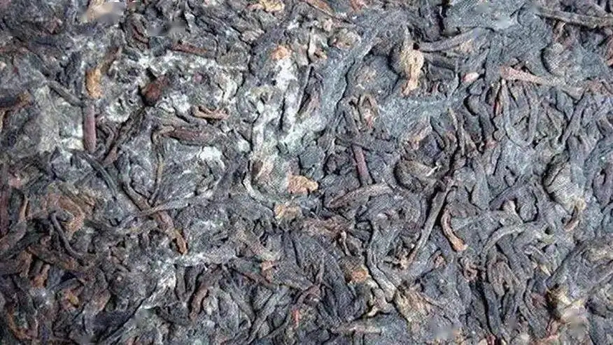 普洱茶怎么樣才算發(fā)霉？