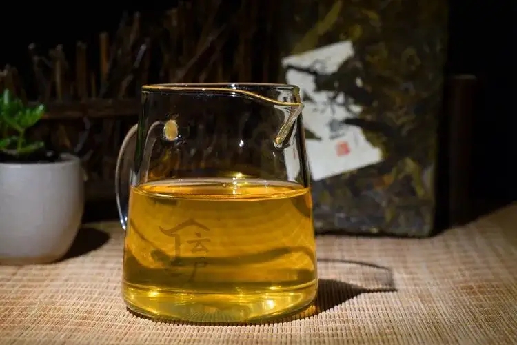 有茶油的普洱茶正常嗎？茶油是如何形成的？