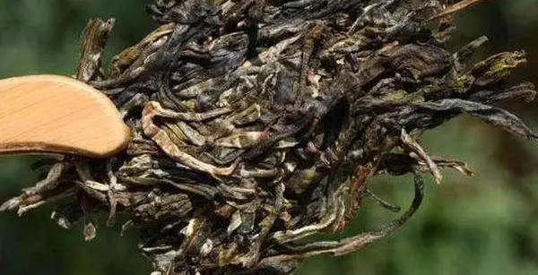 不同普洱茶生產(chǎn)地味道有哪些不同，不同派別的普洱茶味道又如何?