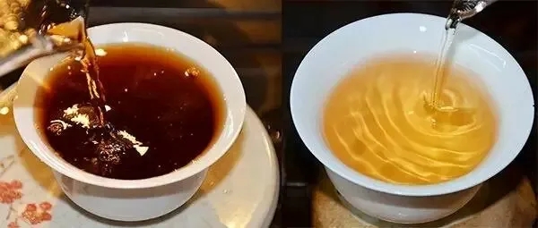 普洱茶湯怎么也會“出油”？