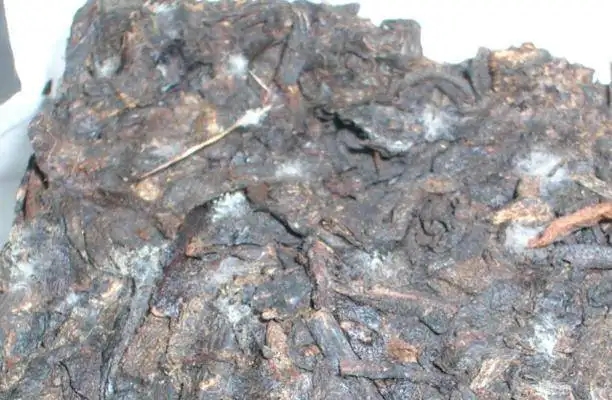 ?普洱茶發(fā)霉了怎么辦？教你妙招應(yīng)對(duì)發(fā)霉的普洱茶！