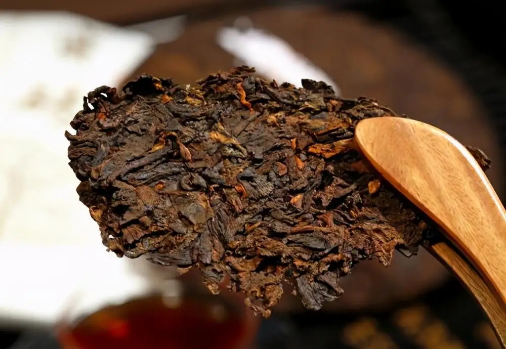 普洱茶生津、回甘、滋味、口感是怎么回事？丨實(shí)用