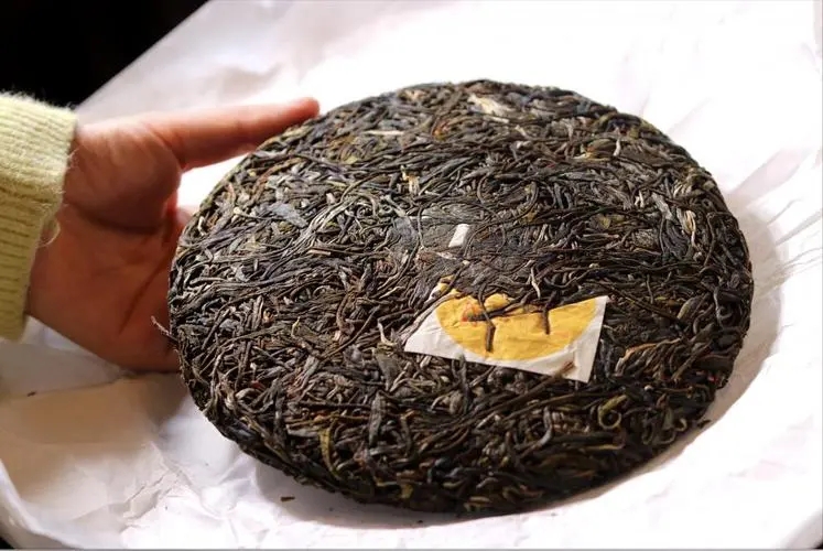 犀牛塘 | 古韻留香，帕沙之王