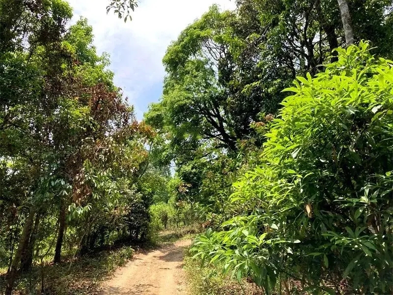 茶山紀(jì)實(shí)：犀牛塘，最近能火是有原因的