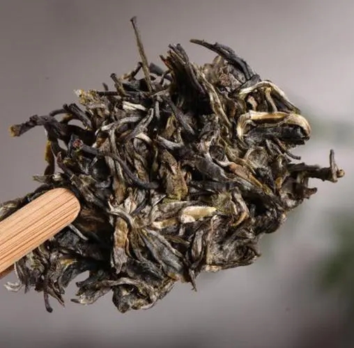 茶無(wú)貴賤！這些不知名的山頭，其實(shí)也產(chǎn)優(yōu)質(zhì)普洱茶！