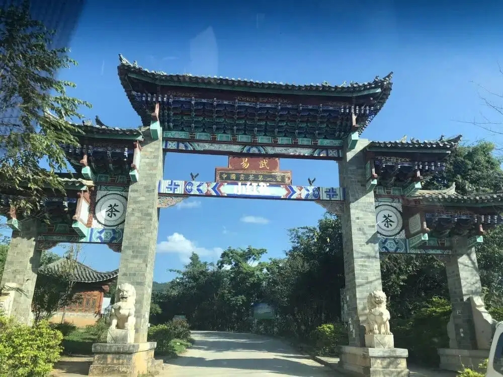 古樹(shù)茶年份越老，茶葉就越好嗎？影響茶葉品質(zhì)的因素有哪些？